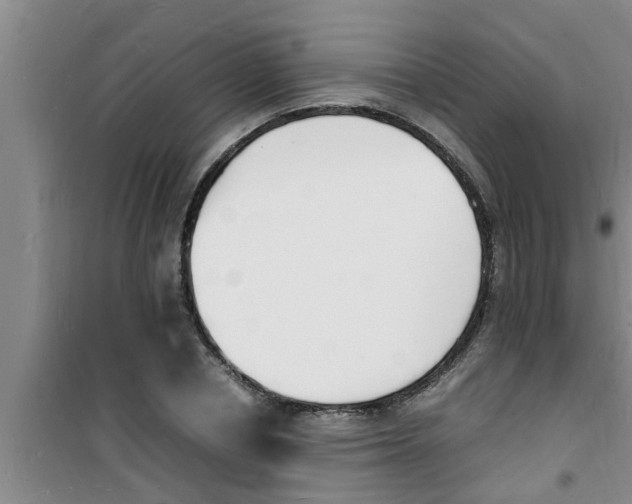 X0000100980834200807221231