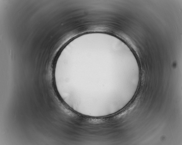 X0000100980835200807221231