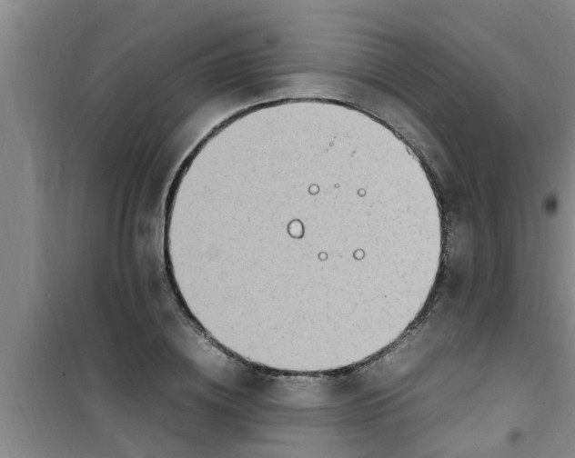 X0000100980836200807221231