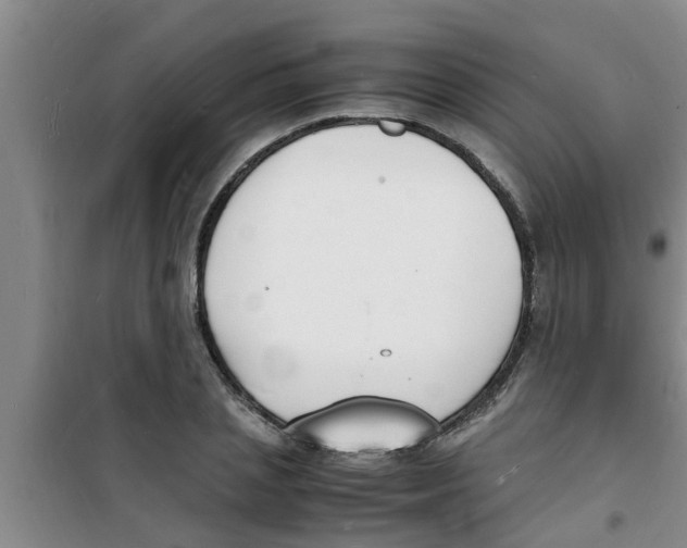 X0000100980837200807221231