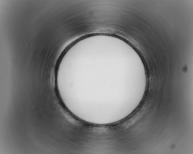 X0000100980838200807221231