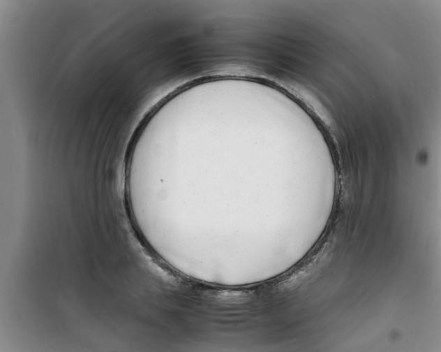 X0000100980839200807221231