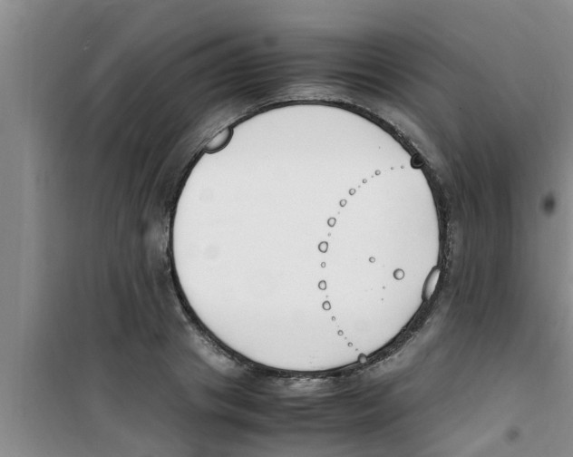 X0000100980841200807221231