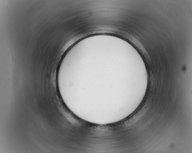 X0000100980842200807221231