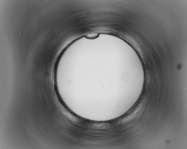 X0000100980843200807221231