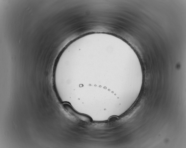 X0000100980845200807221231