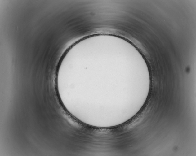 X0000100980846200807221232