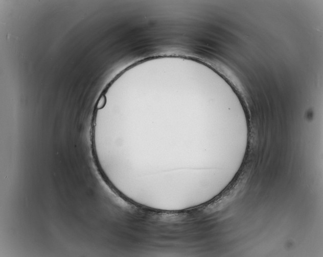 X0000100980847200807221232