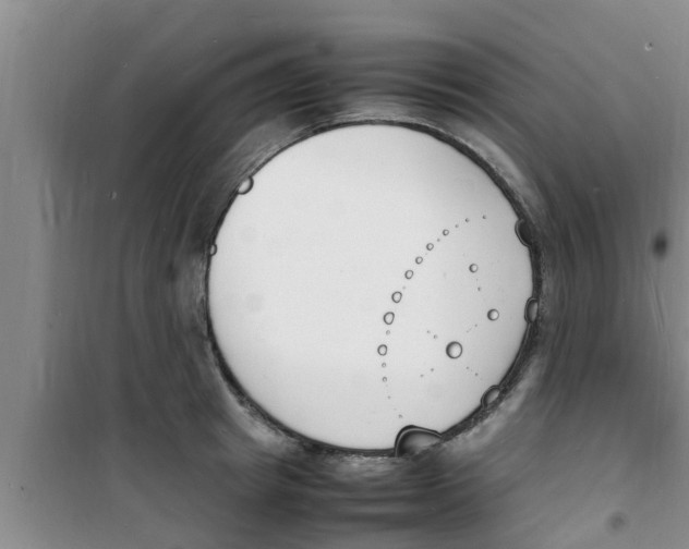 X0000100980849200807221232