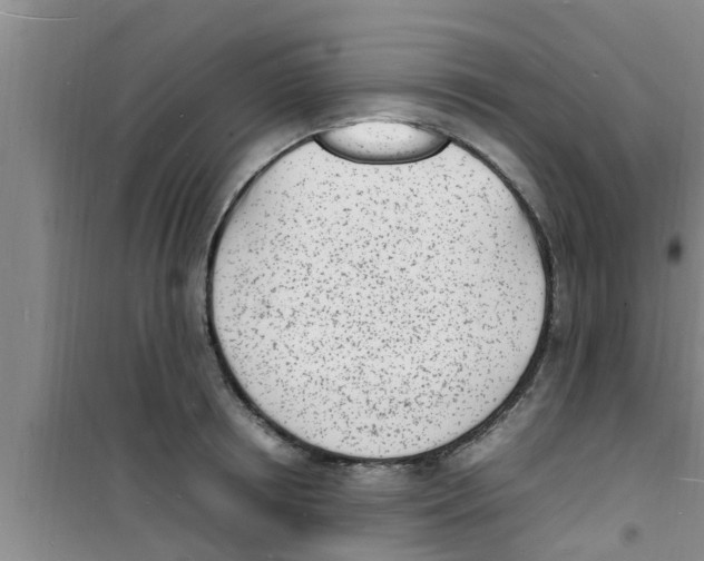 X0000100980850200807221232