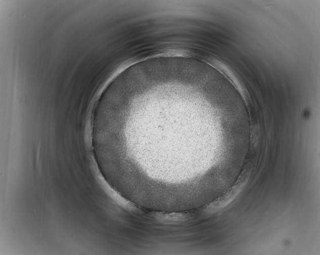 X0000100980851200807221232