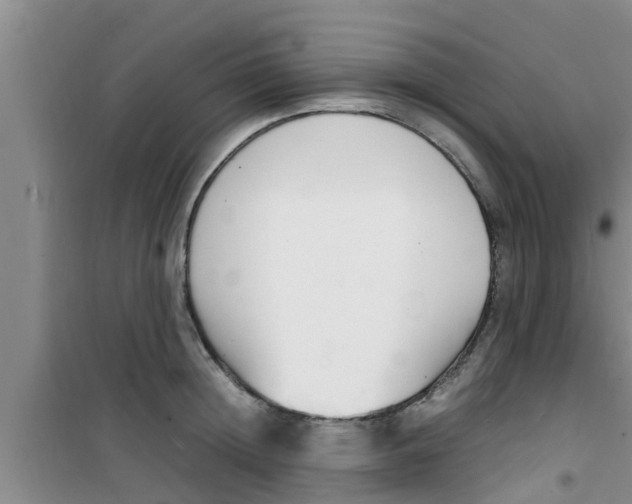 X0000100980852200807221232