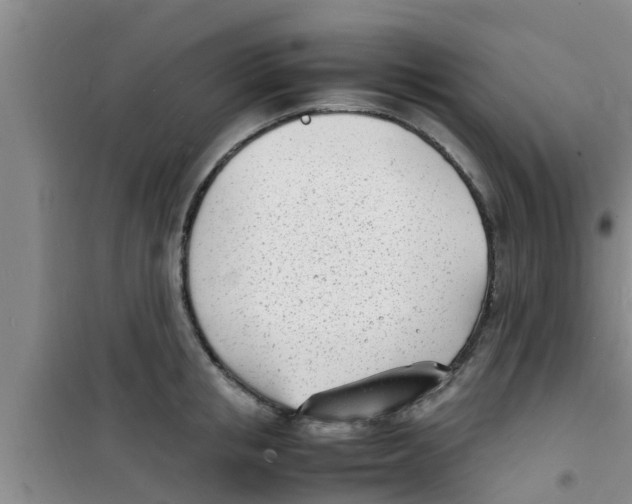 X0000100980853200807221232