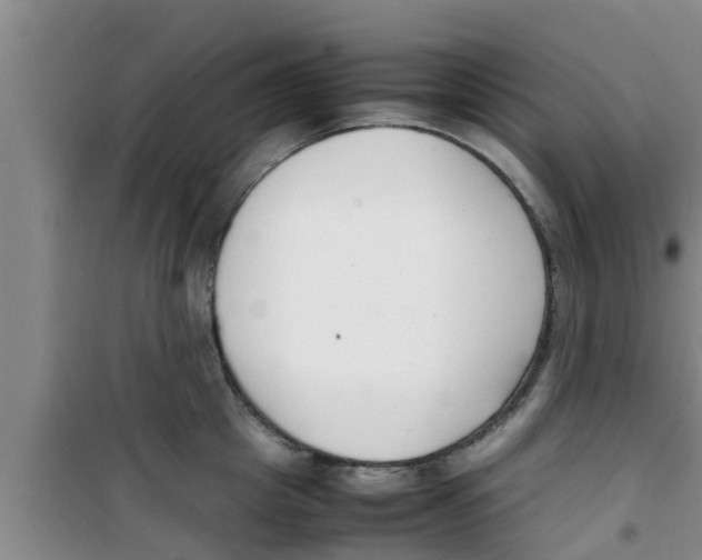 X0000100980857200807221232