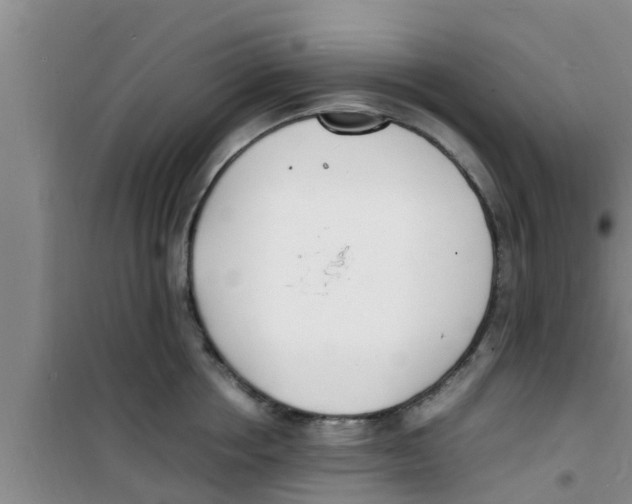 X0000100980858200807221232