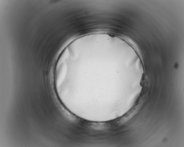 X0000100980859200807221232