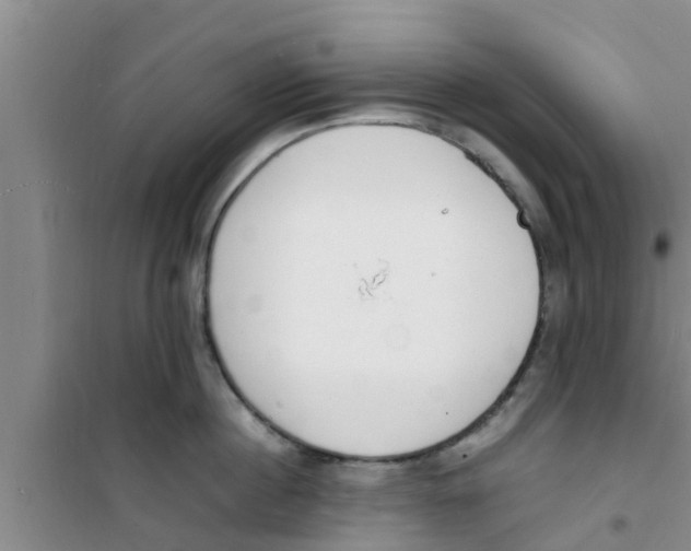 X0000100980860200807221232