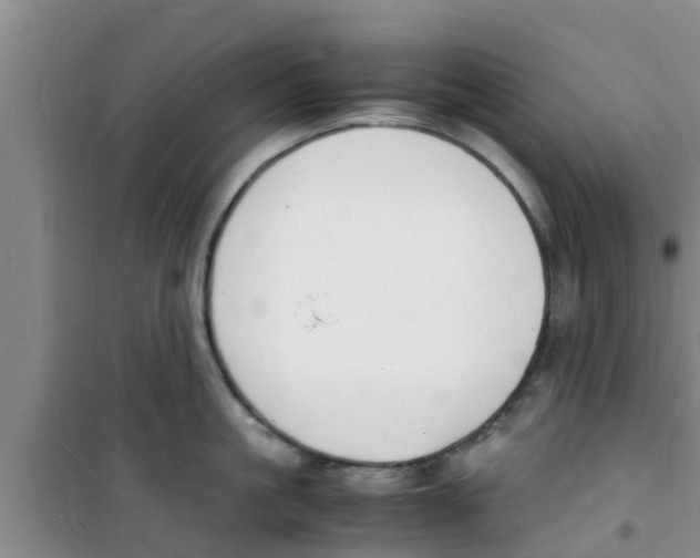 X0000100980861200807221232