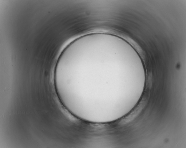 X0000100980862200807221232