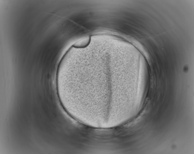 X0000100980863200807221232