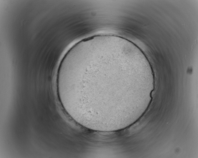 X0000100980864200807221232