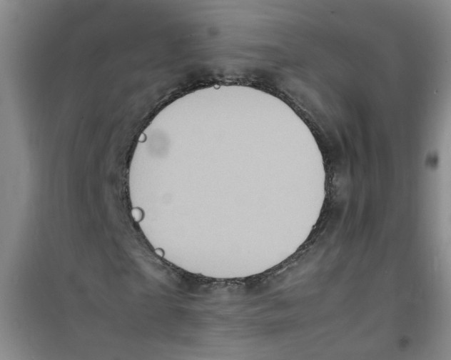 X0000100980865200807221231