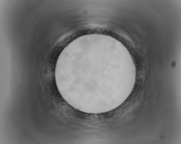 X0000100980869200807221231