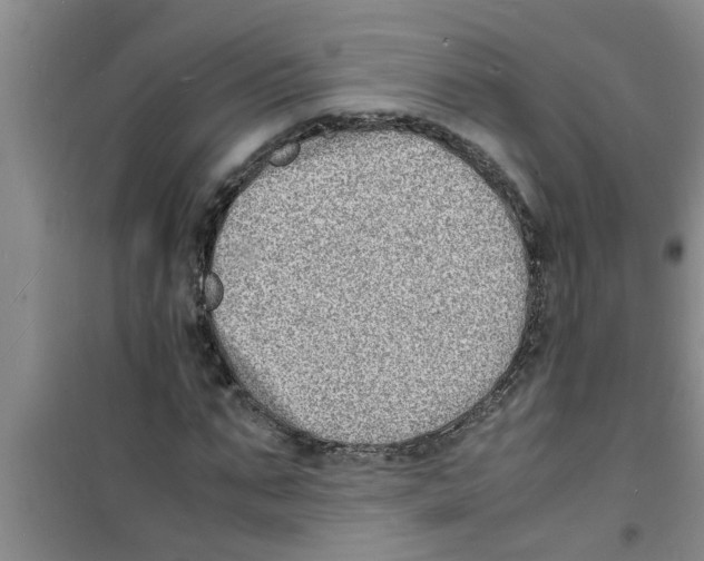 X0000100980871200807221231