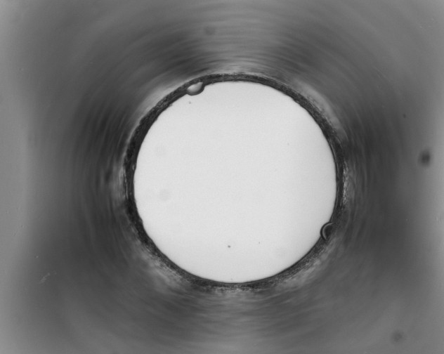 X0000100980876200807221231