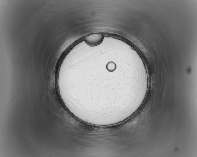 X0000100980877200807221231