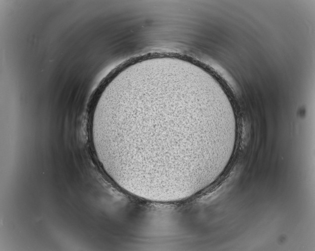 X0000100980878200807221231