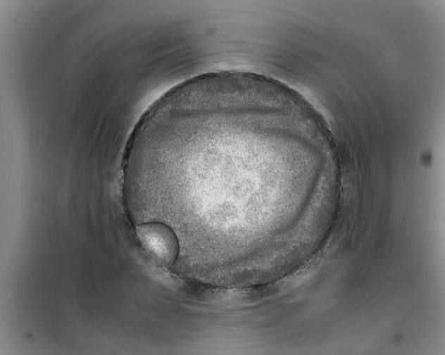 X0000100980879200807221231