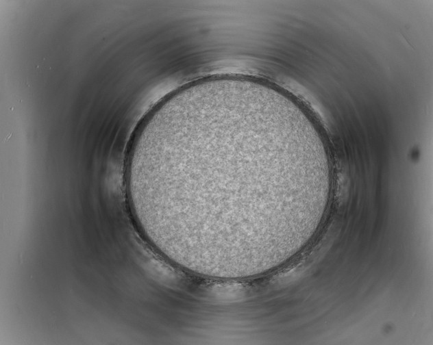 X0000100980882200807221231