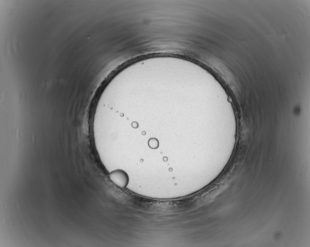 X0000100980883200807221231