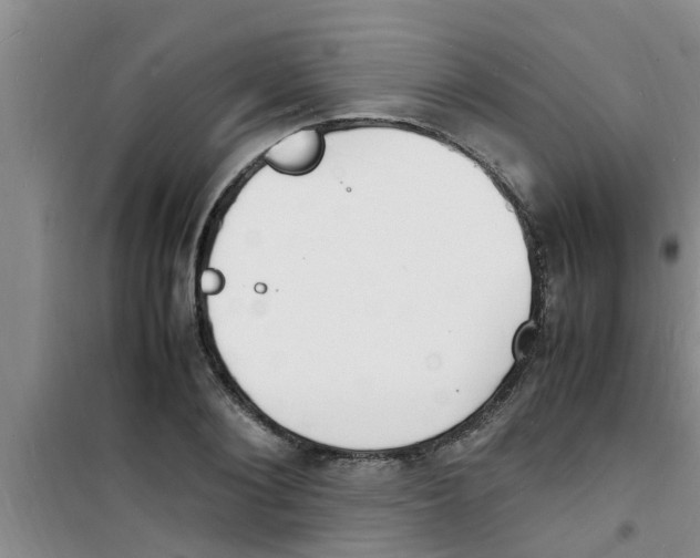 X0000100980884200807221231