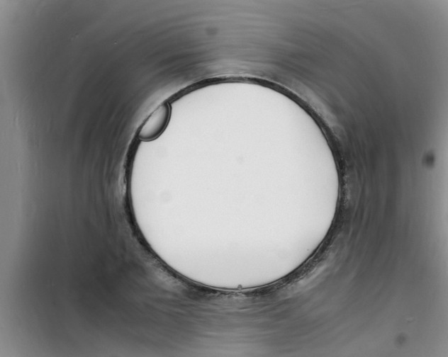 X0000100980885200807221231