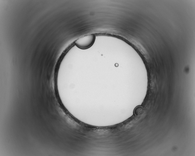 X0000100980888200807221231