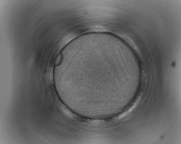 X0000100980889200807221231