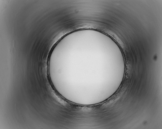 X0000100980890200807221231