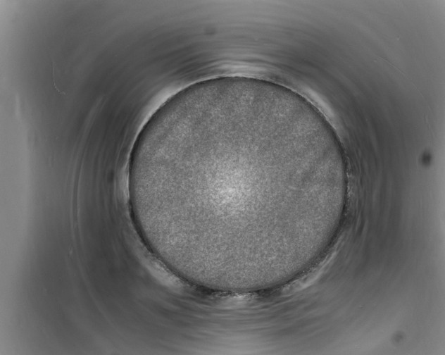 X0000100980891200807221231