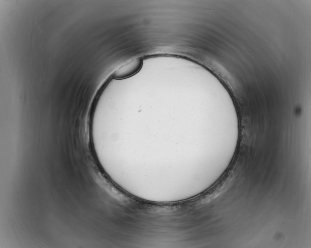 X0000100980892200807221231