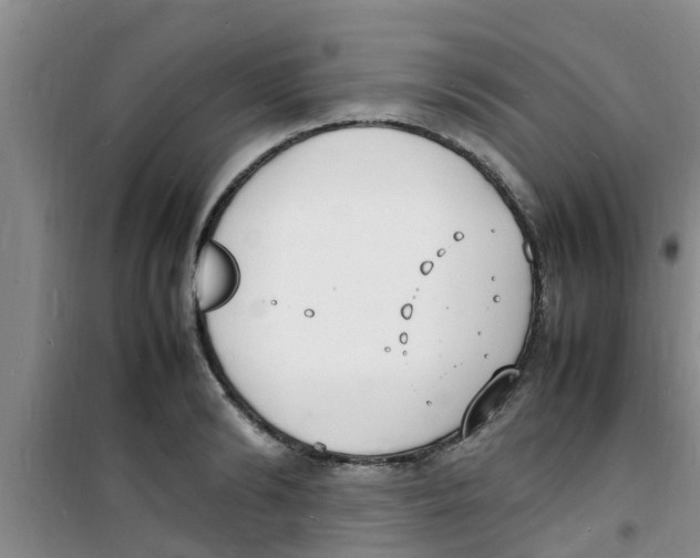 X0000100980894200807221231