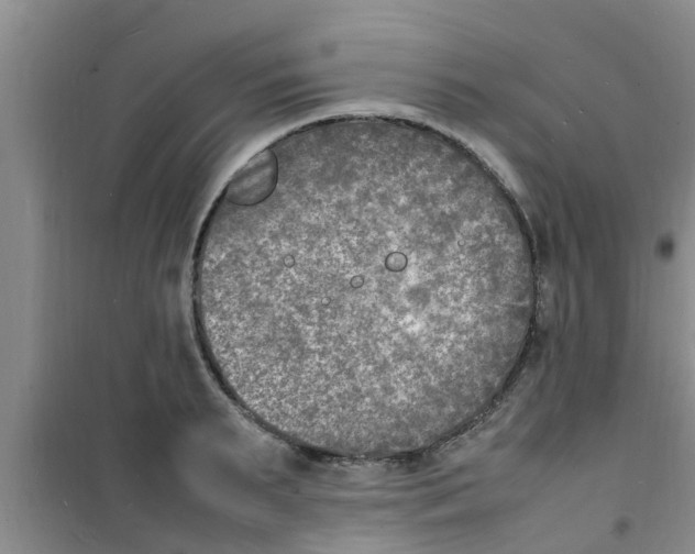 X0000100980895200807221231