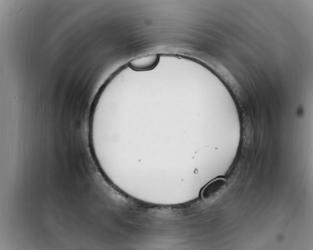 X0000100980896200807221231