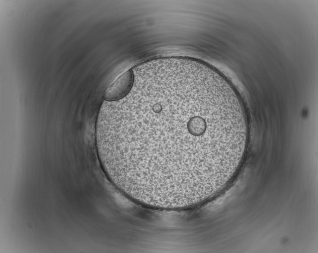 X0000100980897200807221231