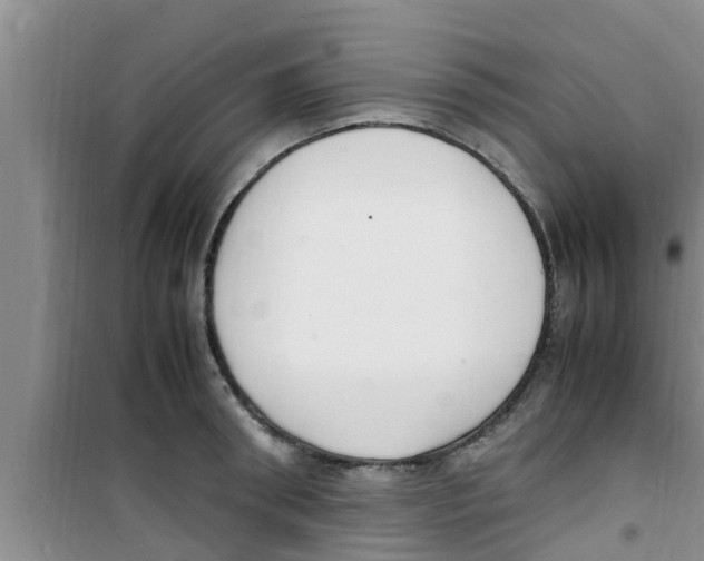 X0000100980898200807221231