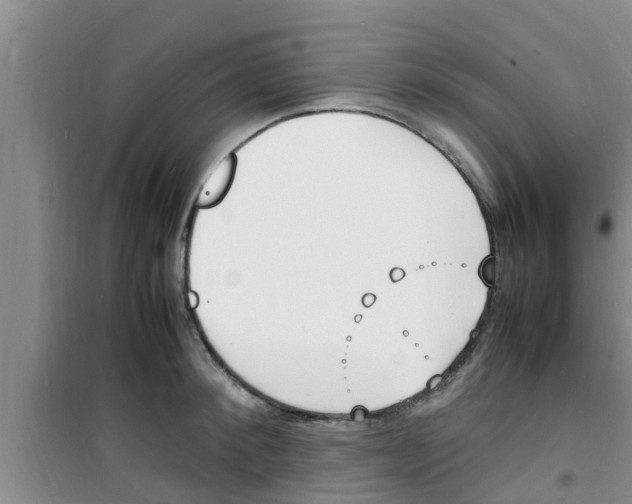 X0000100980900200807221231