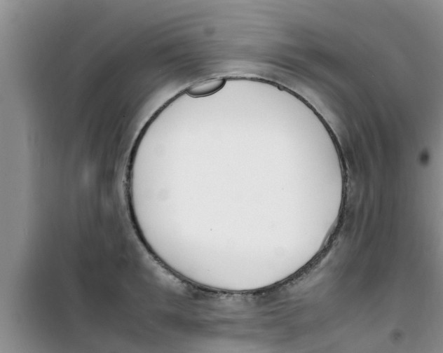 X0000100980901200807221231