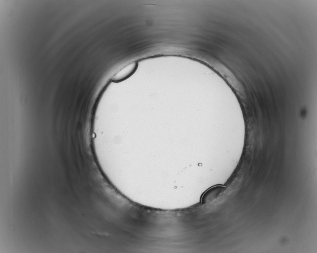 X0000100980904200807221230