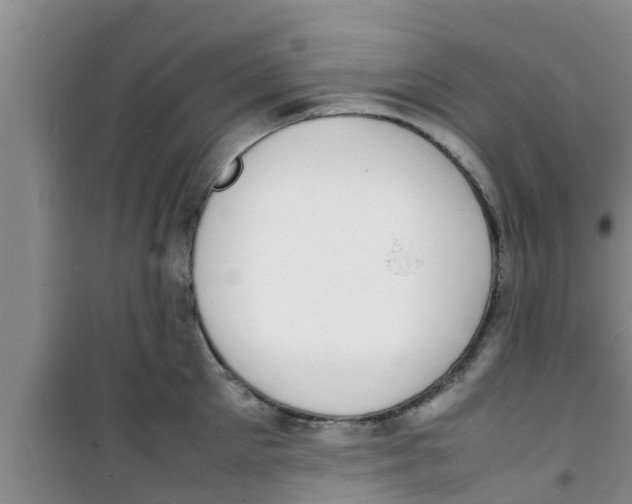 X0000100980905200807221230